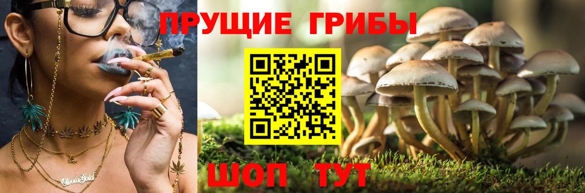 Галлюциногенные грибы Magic Shrooms  Вход с VPN  Грязи 